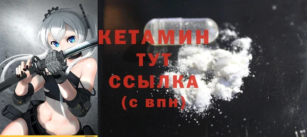 сатива Няндома