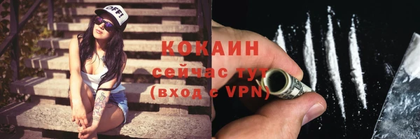 сатива Няндома