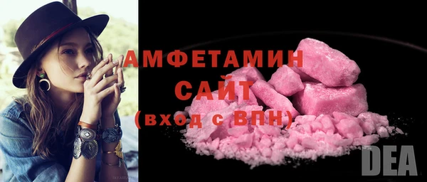 сатива Няндома