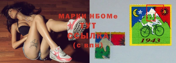 сатива Няндома
