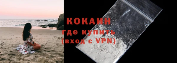 a pvp Новозыбков