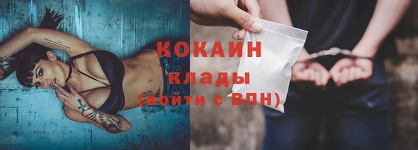 сатива Няндома