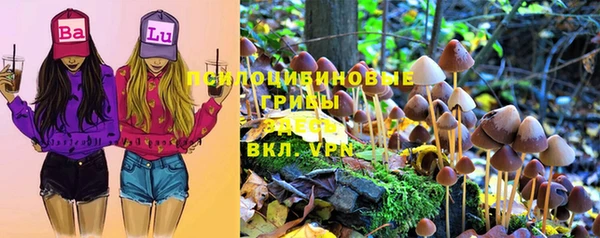 a pvp Новозыбков