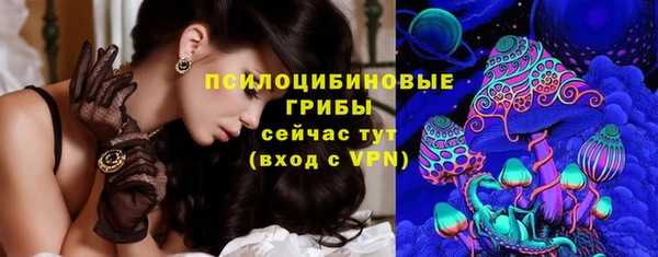 гидропоника Нея