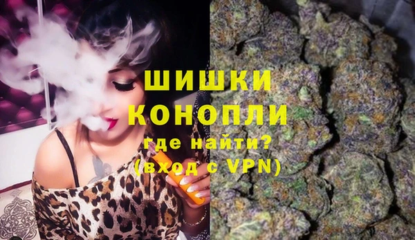 a pvp Новозыбков